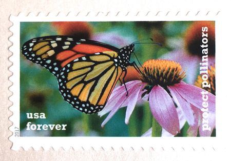 100 Monarch Butterfly Forever Stamps for Mailing Invitations